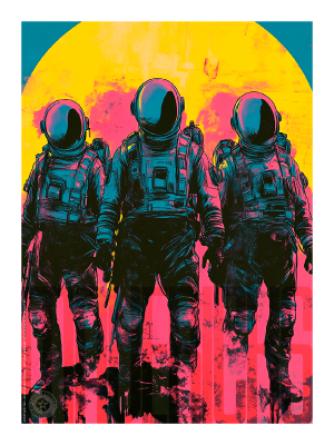 BOSAI Artwork - Mavericks